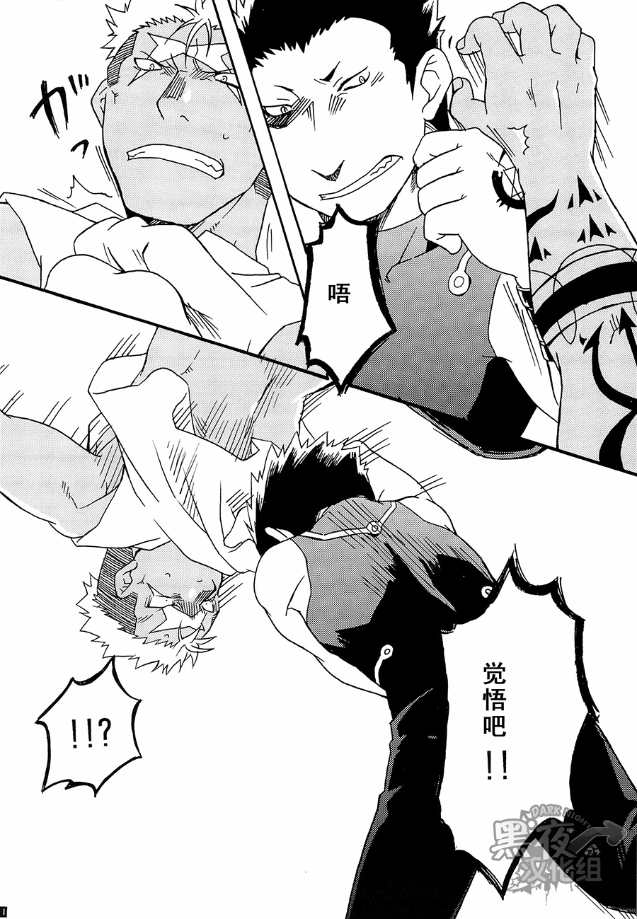 (C80) [Huujin (Shoshinsha Man)] Scar o Hazukashime Naosu Hon | 斯卡的屈辱调教 [Chinese] [黑夜汉化组] - Page 20