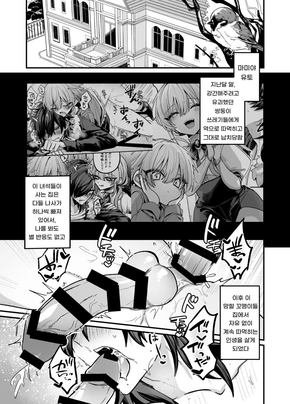 [Kanshouyaku (miska)] Shittoshita Futago ni Ecchi na Oshiokisarechau Hon | 질투한 쌍둥이에게 야한 벌을 받아버리는 책 [Korean] [도레솔] - Page 3