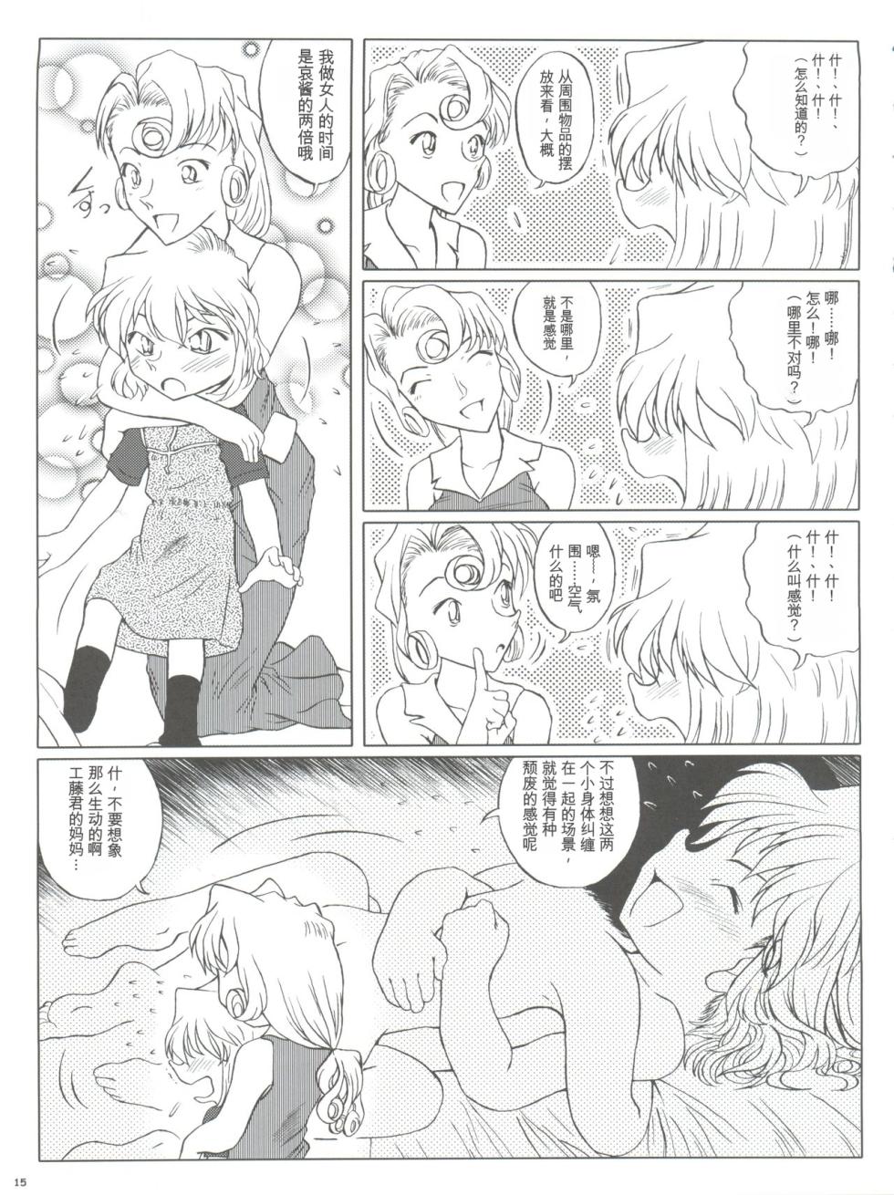 (CT4) [Studio Empty (Nishi)] Zoku Ai no Arashi Ai no Sanka (Detective Conan) [Chinese] - Page 15