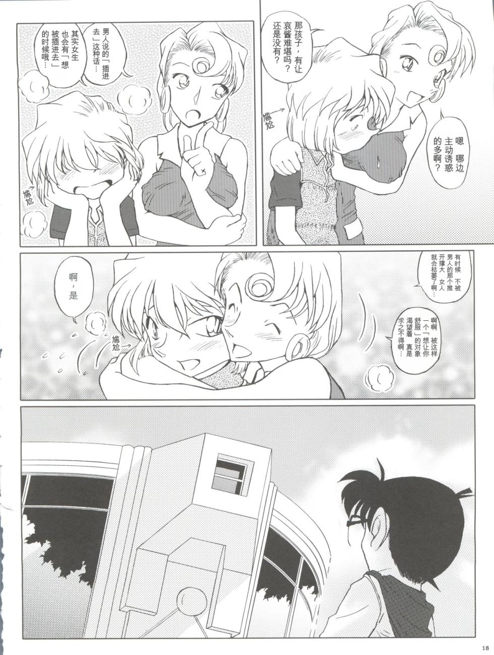 (CT4) [Studio Empty (Nishi)] Zoku Ai no Arashi Ai no Sanka (Detective Conan) [Chinese] - Page 18