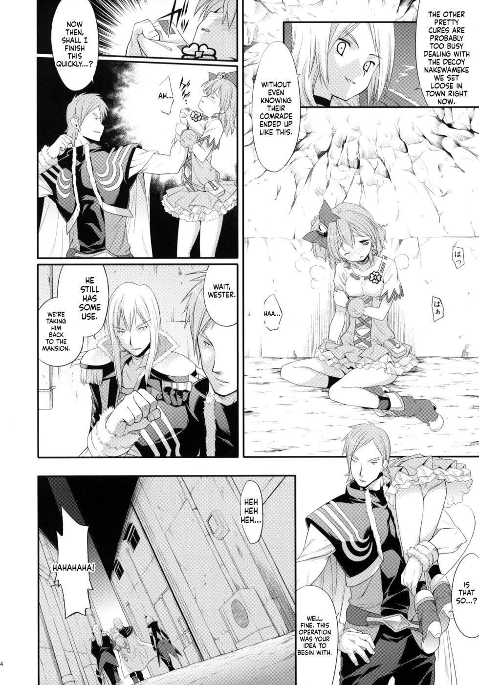(C76) [Houenken (Inase Shinya)] prayer pain (Fresh Precure) [English] [MTL] - Page 3