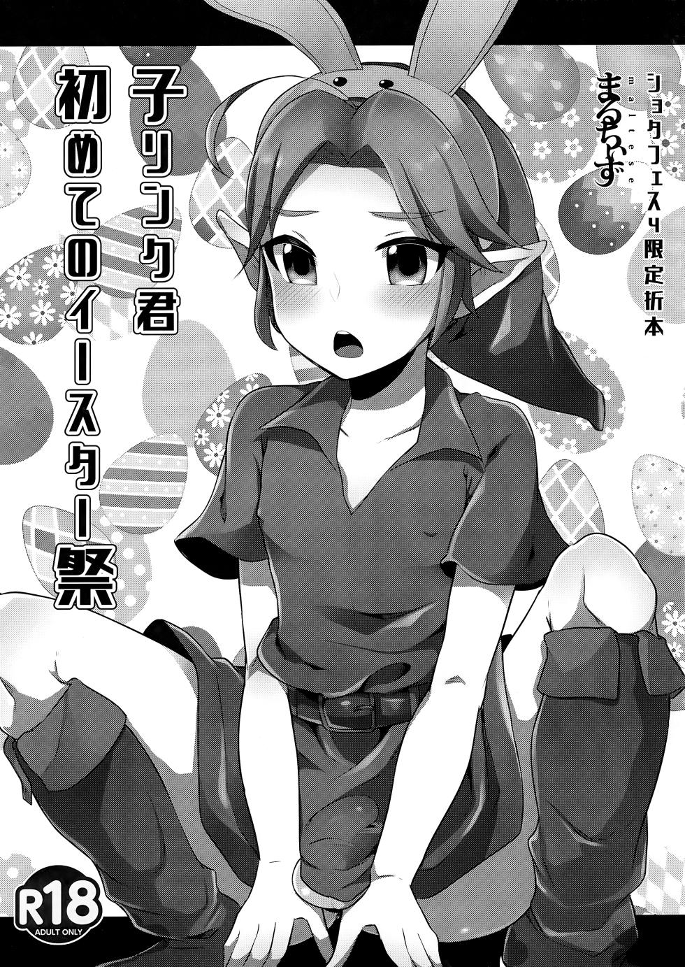 (ShotaFes 4) [Maltese (Runrun)] Ko Link-kun Hajimete no Easter-sai | Kid Link's First Easter Celebration (The Legend Of Zelda) [English] {Chin²} - Page 1