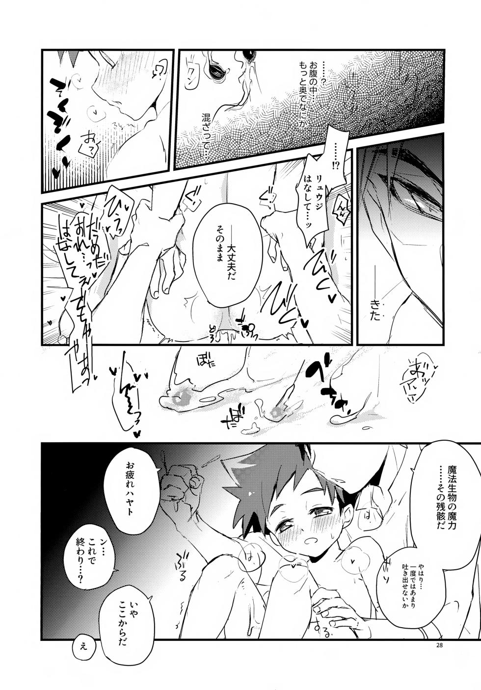(C107) [Zex (Fuuga Subaru)] Kaizoku to Mahoutsukai Another Story (Shinkansen Henkei Robo Shinkalion) - Page 28