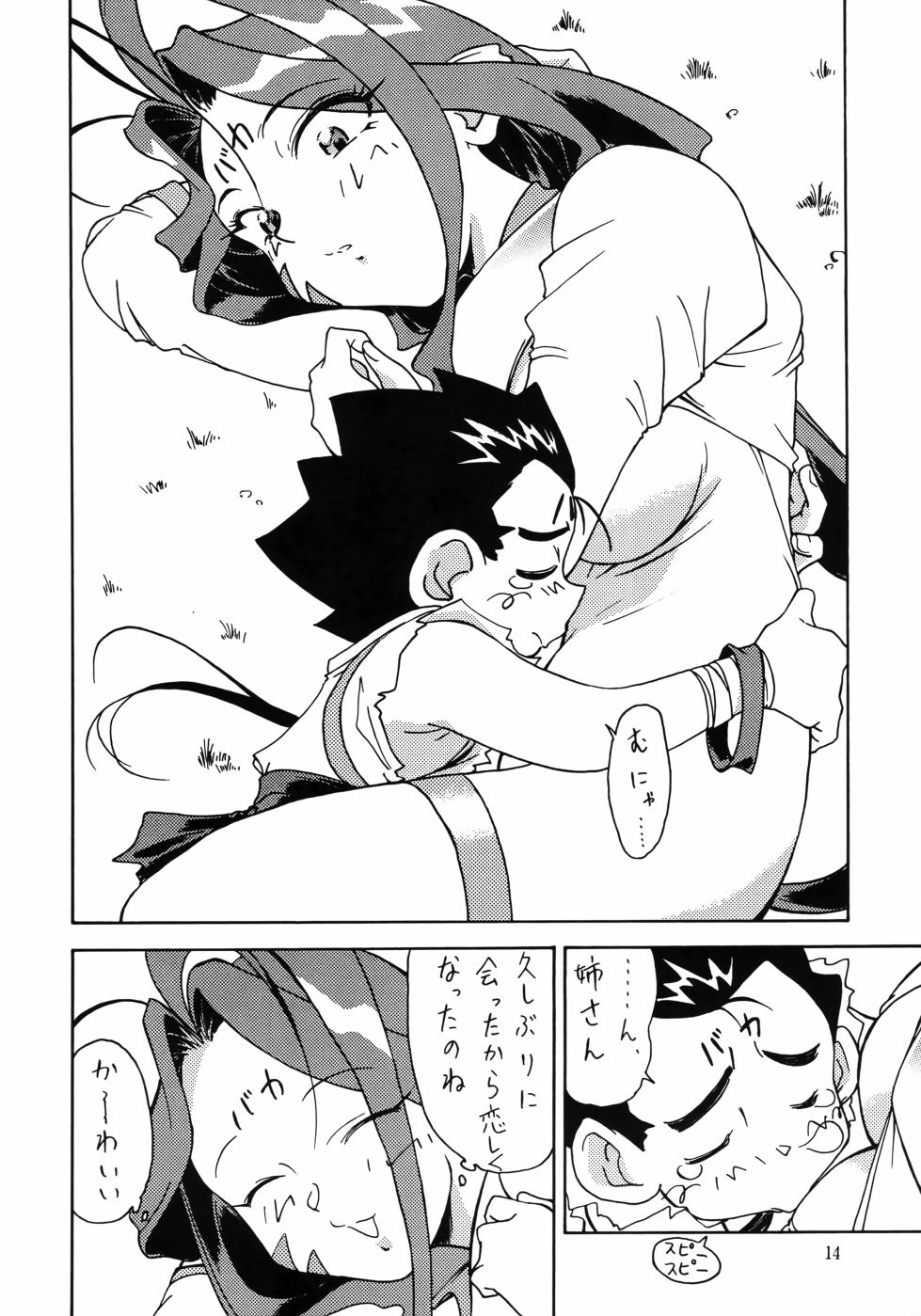 [Effecter (Various)] Ahou Nyan Nyan (Photon) - Page 13