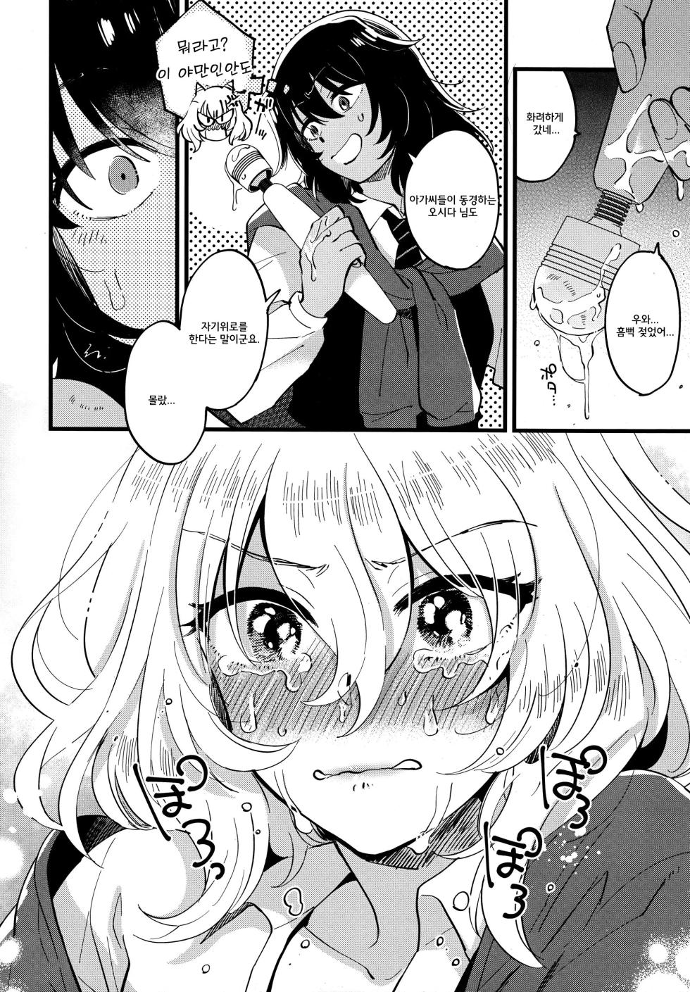 (C96) [Sonotaozey (Yukataro)] AnOshi, Nakayoku! | 안도오시, 사이좋게 지내! (Girls und Panzer) [Korean] - Page 11