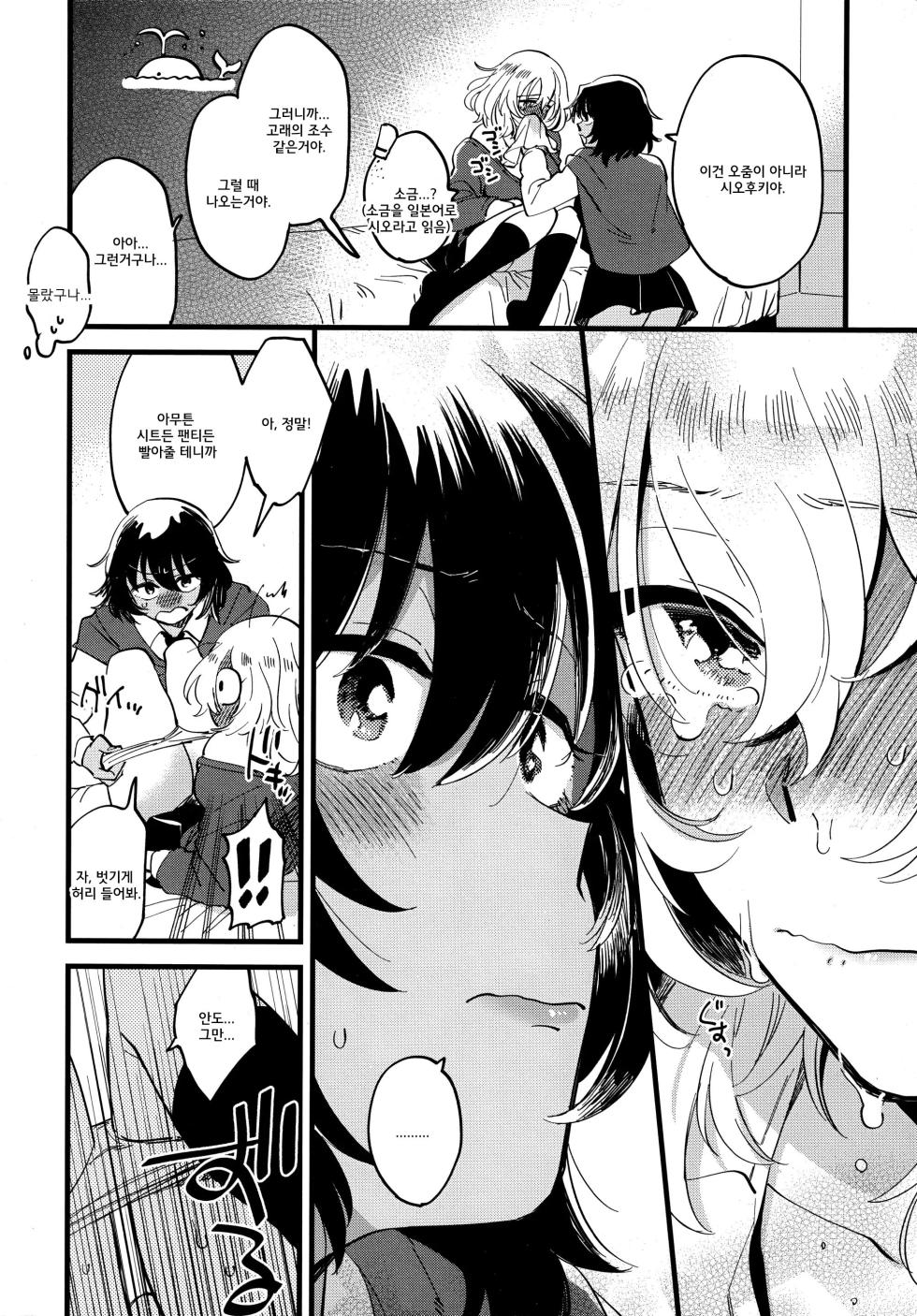 (C96) [Sonotaozey (Yukataro)] AnOshi, Nakayoku! | 안도오시, 사이좋게 지내! (Girls und Panzer) [Korean] - Page 13