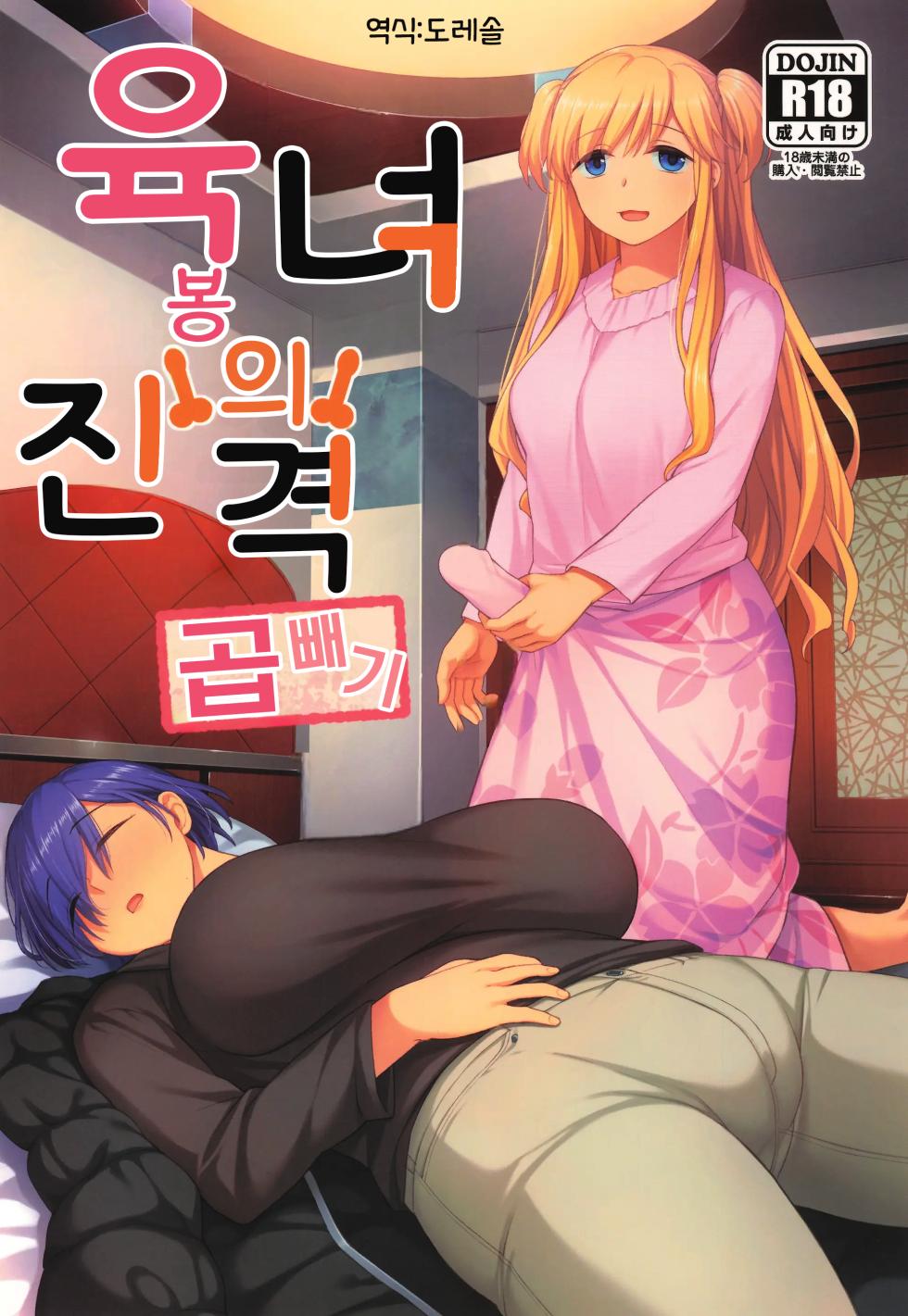 (C107) [Silicon Jichou (Condessa)] Nikubou Onna no Susume Oomori | 육봉녀의 진격 곱빼기 [Korean] [도레솔] - Page 1