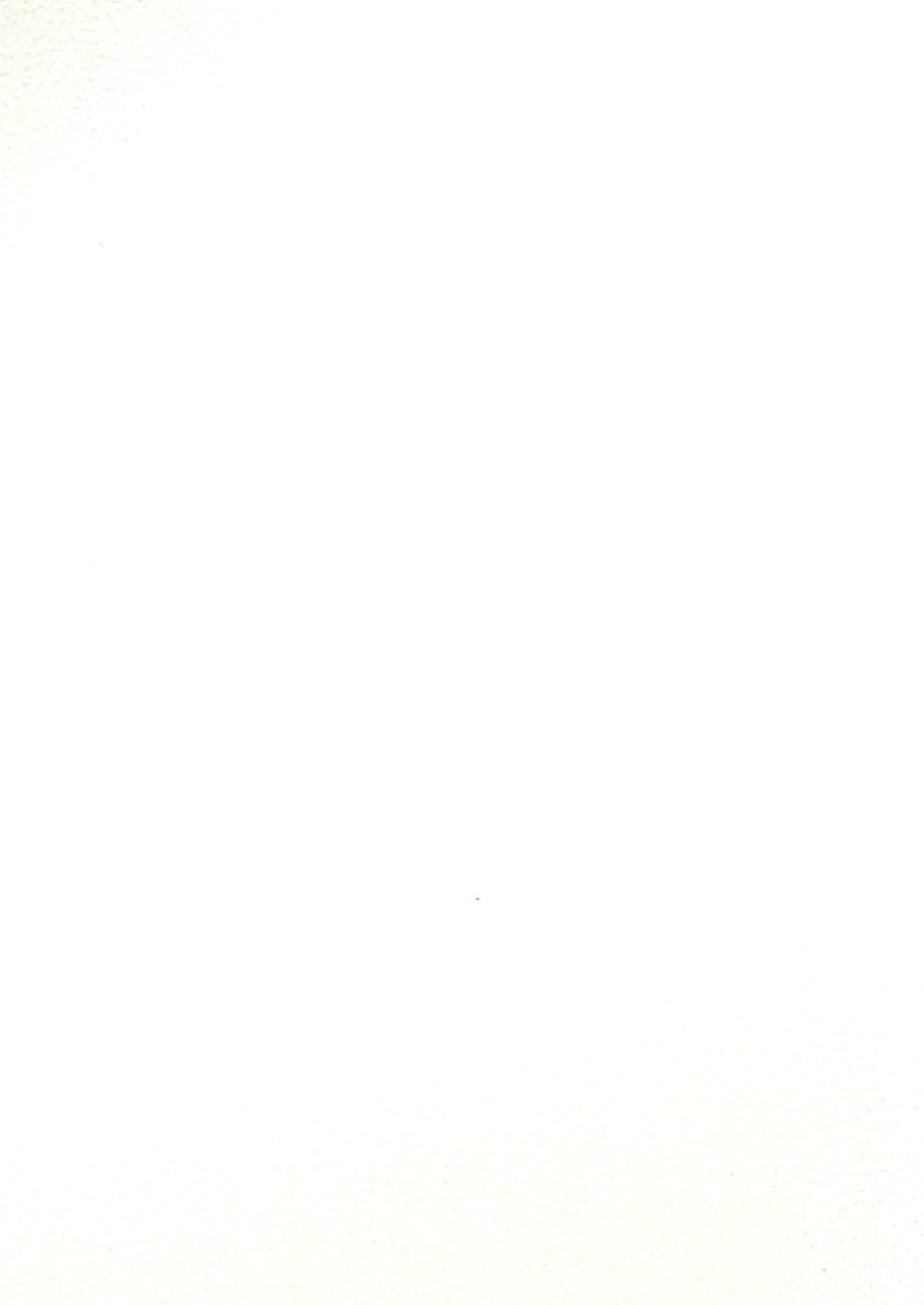 (C100) [COUNTER-CENSORSHIP (Ookami Uo)] 这已经和巫女无关了吧！？[个人汉化] [Chinese] - Page 2