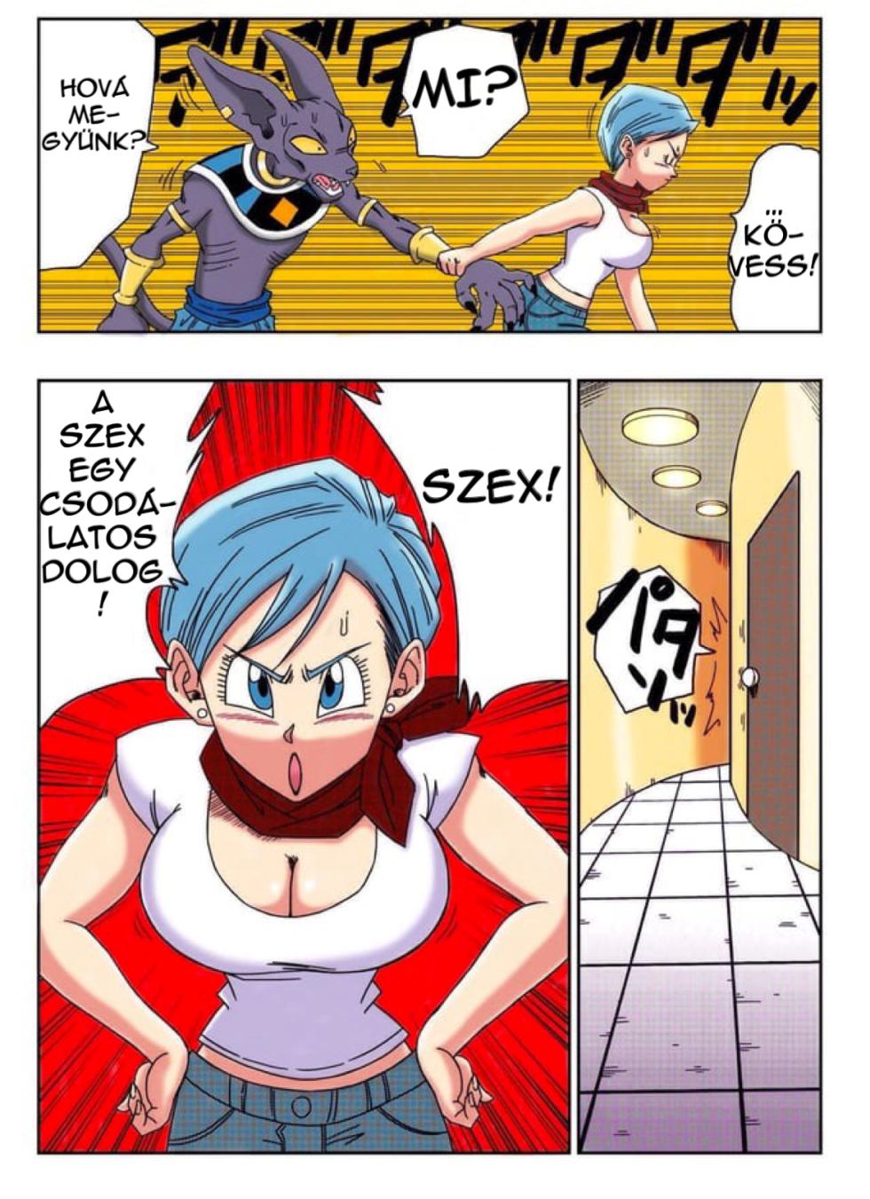 [Yamamotodoujinshi] Bulma megmenti a bolygót (Magyar) - Page 3