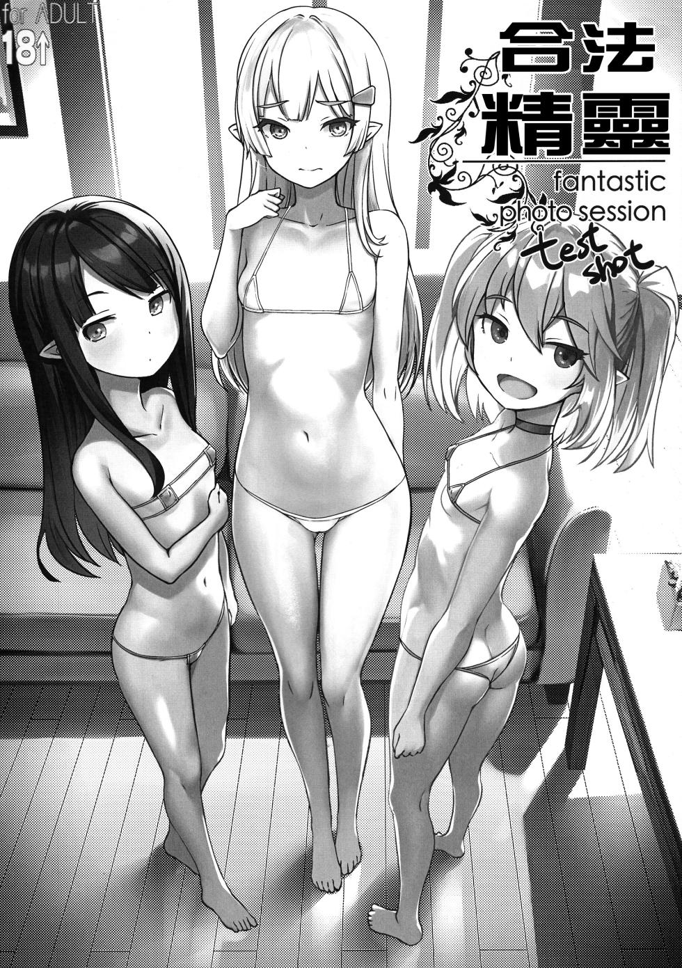 (C102) [AskRay (Bosshi)] Gouhou Elf - Fantastic Photo Session test shot | 合法精靈 [Chinese] - Page 1
