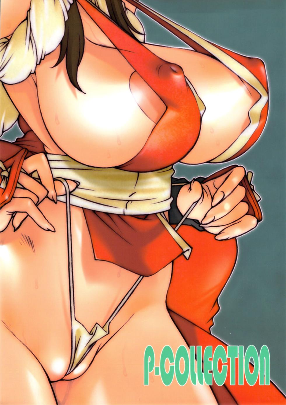 [P-collection (nori-haru)] Kachousen Yon (King of Fighters) [Decensored] - Page 18