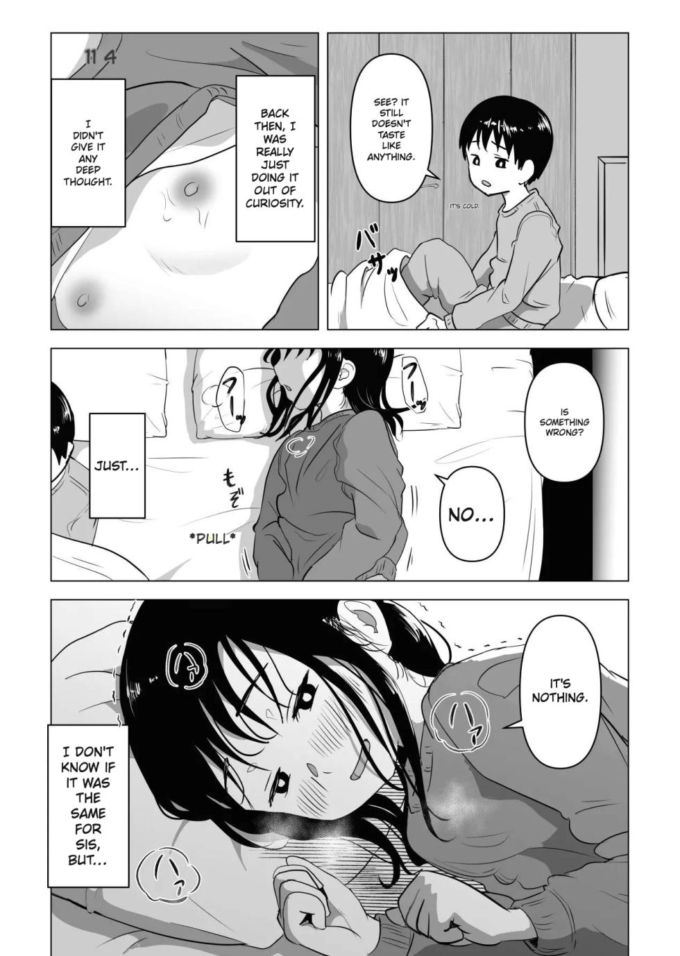 Commonplace Sex ~The Daily Life of an Older Sister and Younger Brother~ [English MTL] - Page 10