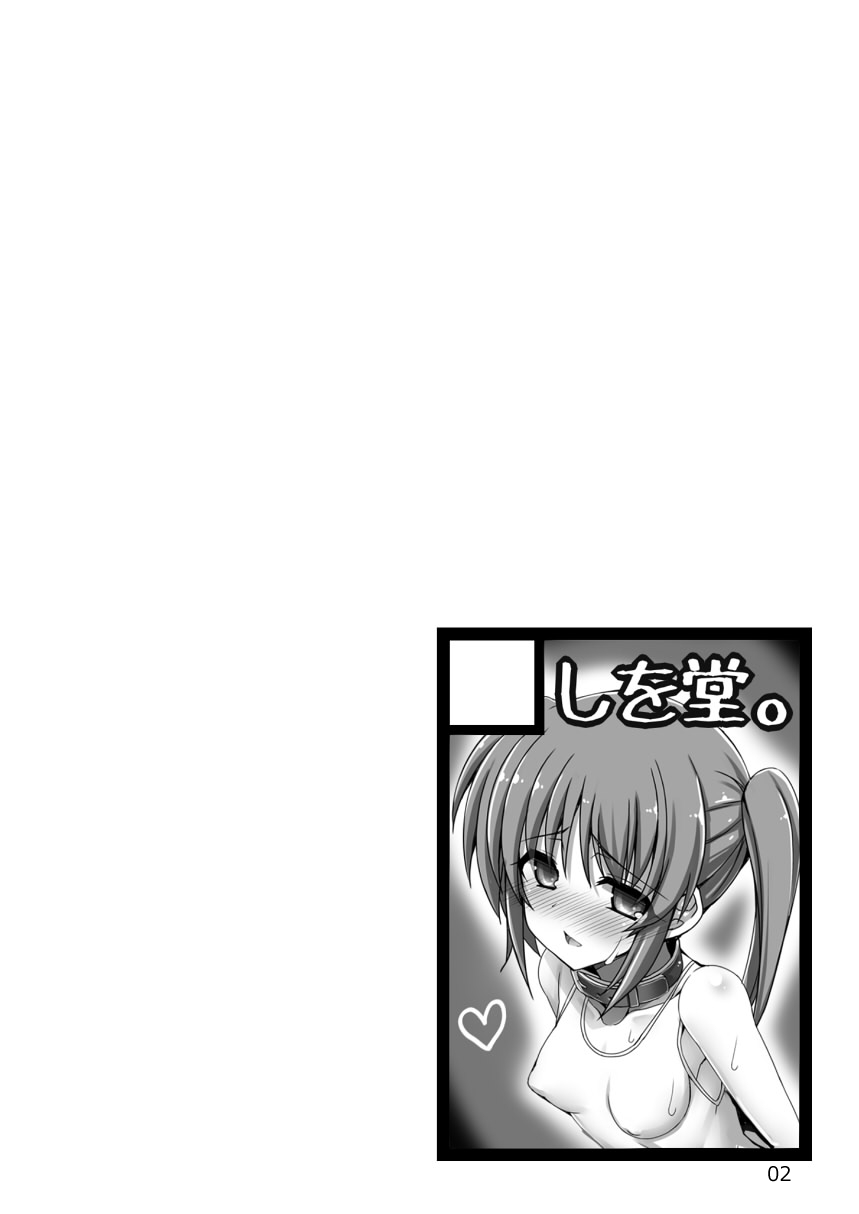 [Shiwodou. (Shiwo.)] Rank S Madoushi Dorei Nanoha (Mahou Shoujo Lyrical Nanoha) [Digital] - Page 2