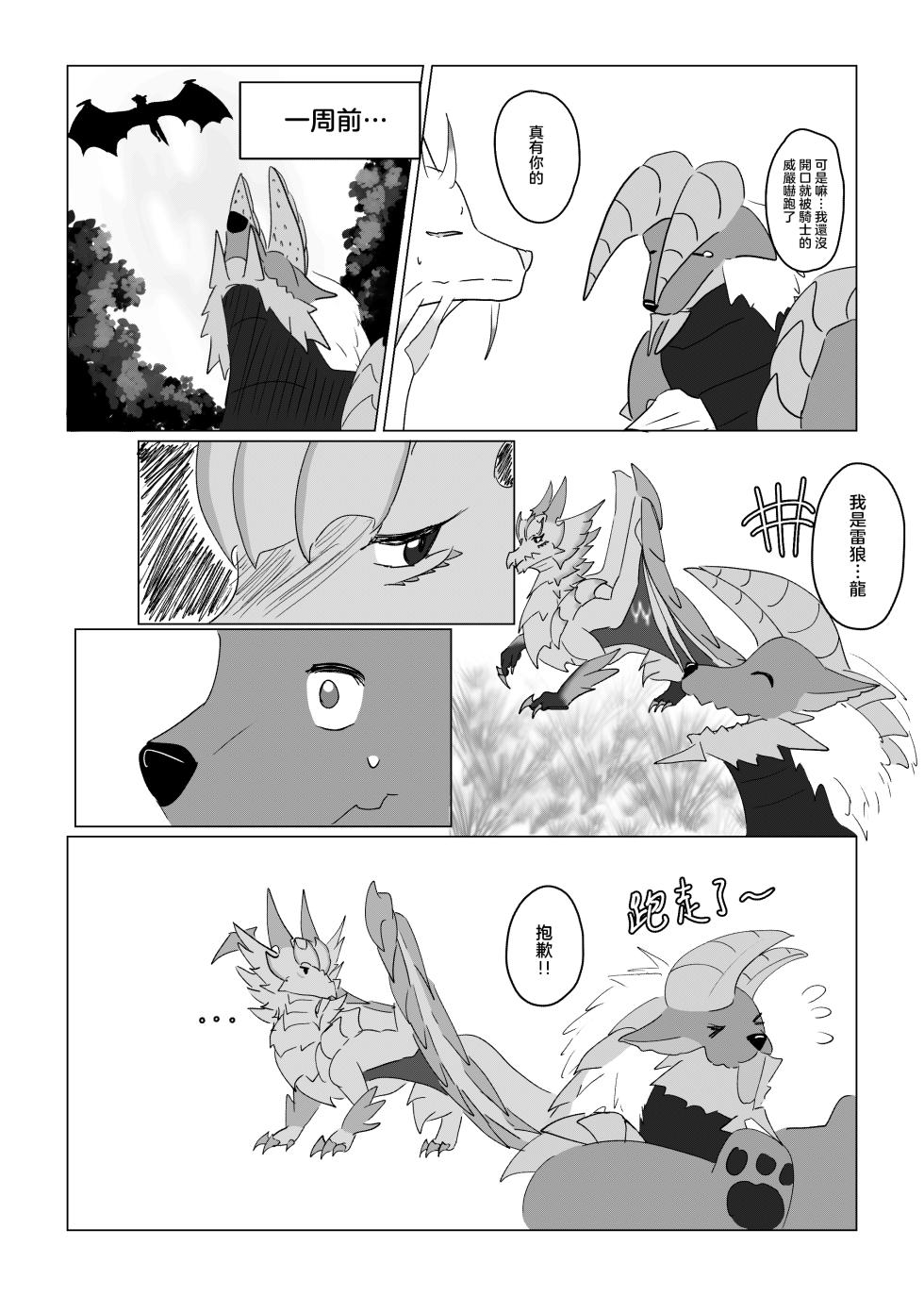 [Bridgett] 雷狼龍君的初戀？ (Monster Hunter) - Page 5