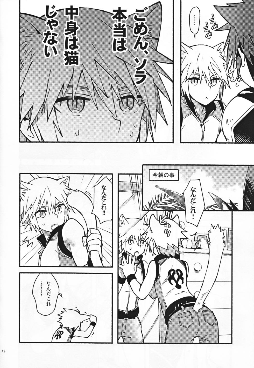 (C94) [esto (Ninomotoko)] Mahoni Kakerareta (Kingdom Hearts) - Page 11