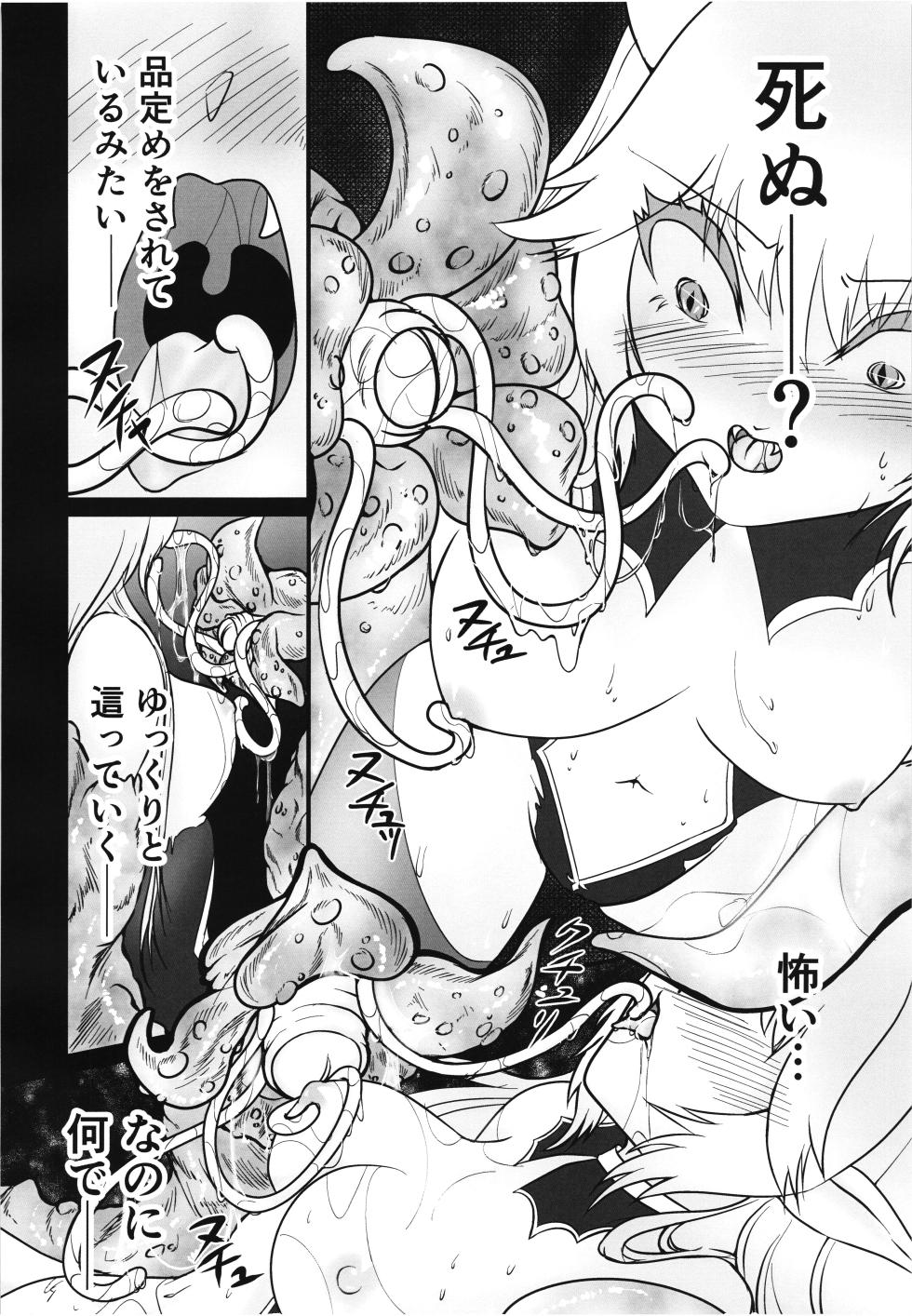 (C106) [Nuko no sato (Nukotto)] Zangyaku Tenshi no Kairaku Choukyou ~Mazoku no Hime Shokushu Seirei Mesuana Ochi~ - Page 18