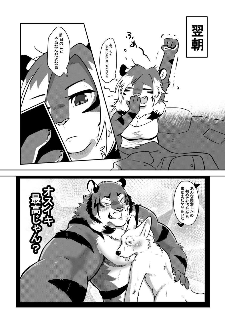 [Kyou no Keiro (Pukkunn)] Osu Ikitaiken Shite Miyou [Digital] - Page 24