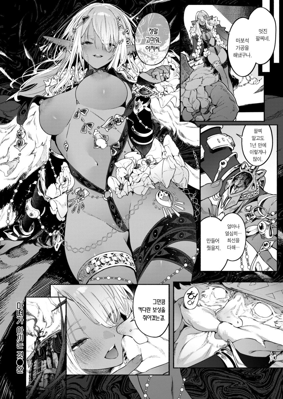 [Croriin] Majo no Okiniiri | 마녀가 아끼는 것 (Isekai Kairakuten Vol. 52) [Korean] [Team Edge] [Decensored] - Page 29