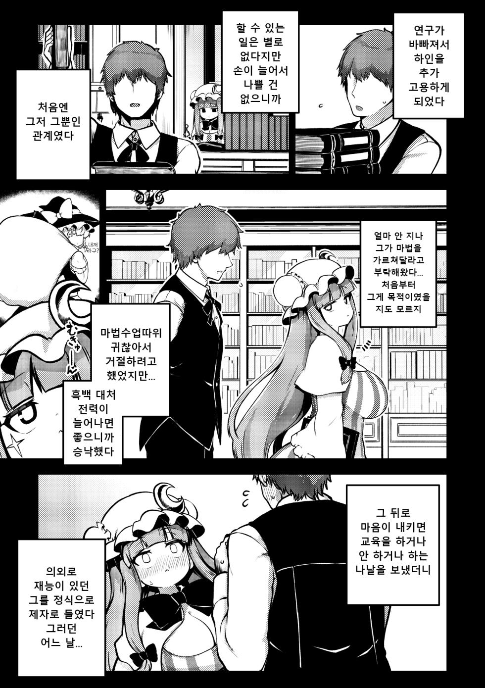 [Shoujo Rakugakichuu (Himajin no Izu)] skeb na Gensou Shoujo Shuu 9 | 음란한 환상 소녀집 9 (Touhou Project)  [Korean] [Digital]  [Ongoing] - Page 34