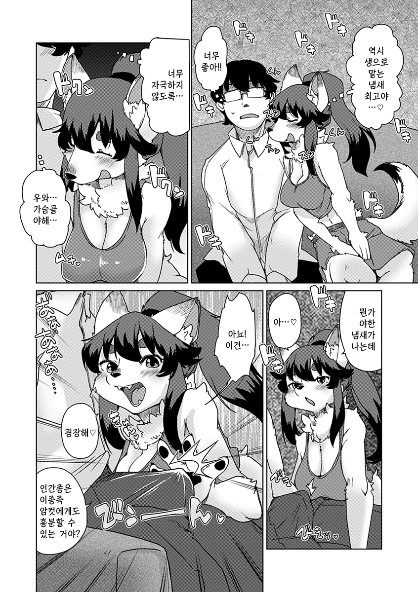 [Setouchi Kurage] Zoku・Juujin Apart Tokoharusou e Youkoso ! | 속・수인 아파트 토코하루장에 어서오세요! Ch.1~2 [Korean] [Decensored] [Digital] - Page 15