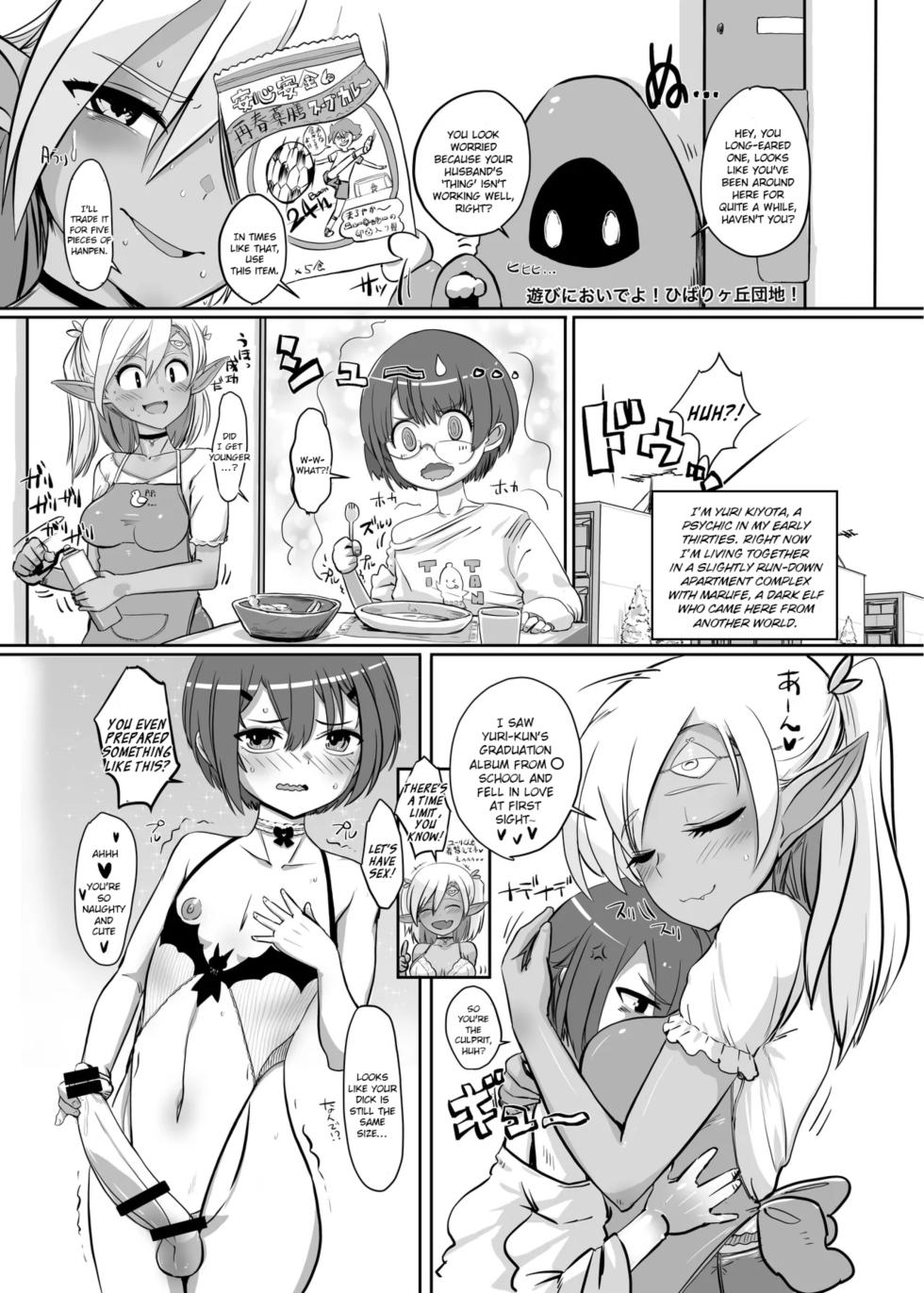 [Hakai Daiteikoku (Hayashi Namegoro) Shemale & Mesu Danshi Goudou-shi SHEMALE C‘ s HAVEN 2 and 3 Ball] Hibarigaoka Housing Complex! - Page 5
