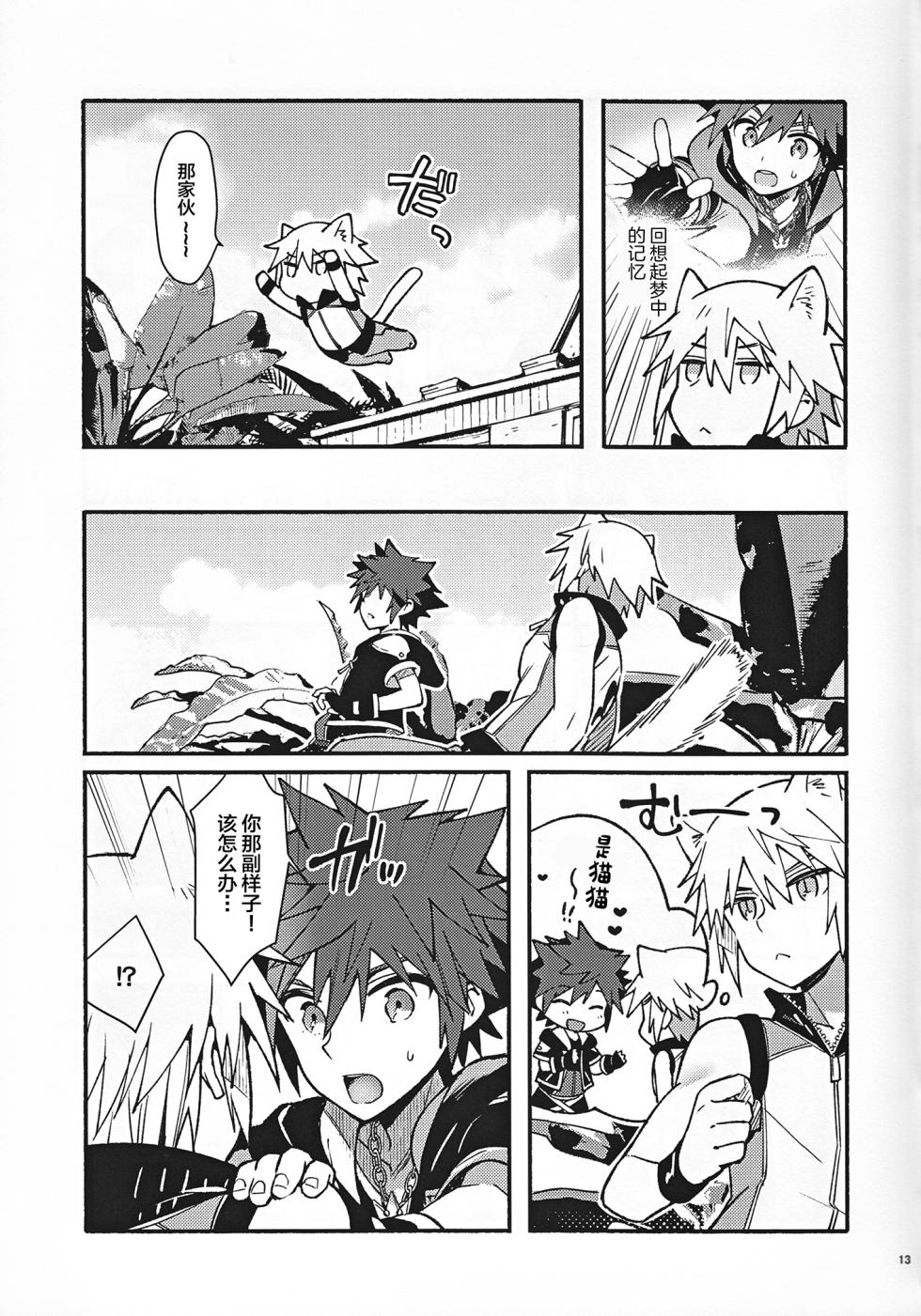 (C94) [esto (Ninomotoko)] Mahoni Kakerareta (Kingdom Hearts) [Chinese] - Page 12