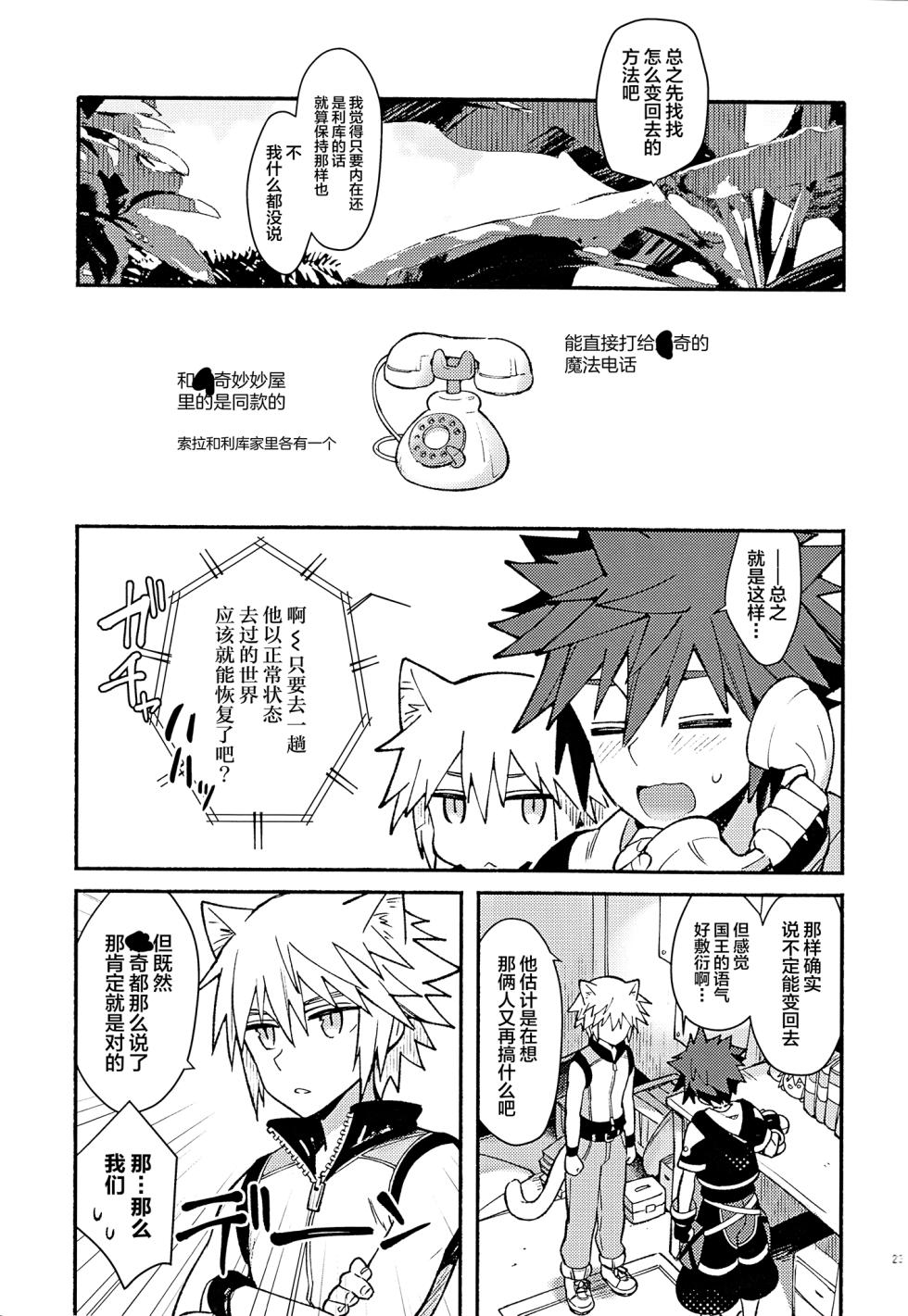 (C94) [esto (Ninomotoko)] Mahoni Kakerareta (Kingdom Hearts) [Chinese] - Page 22