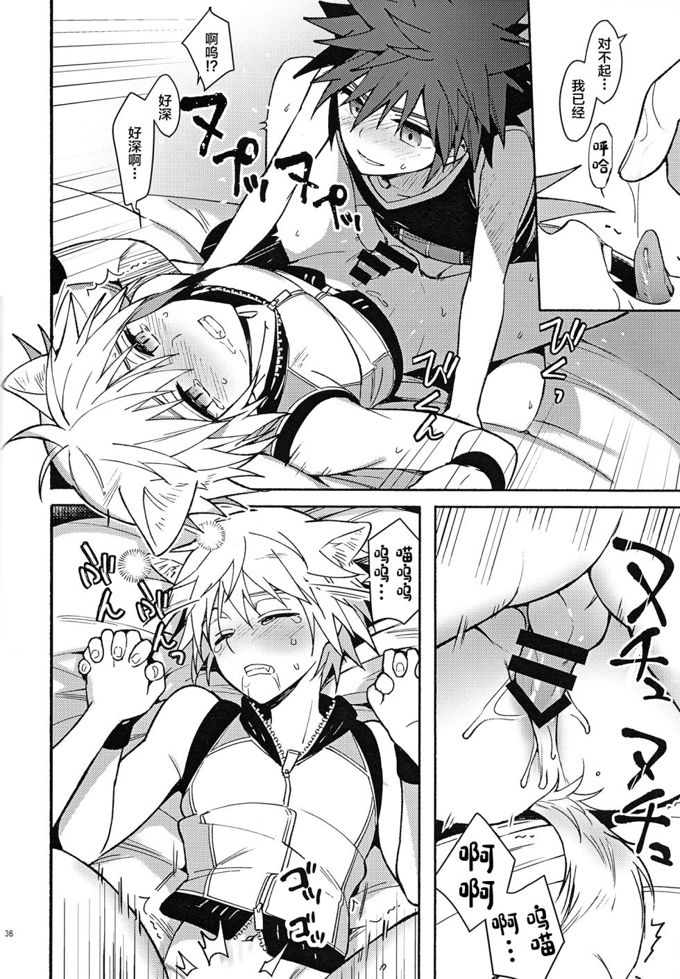 (C94) [esto (Ninomotoko)] Mahoni Kakerareta (Kingdom Hearts) [Chinese] - Page 35