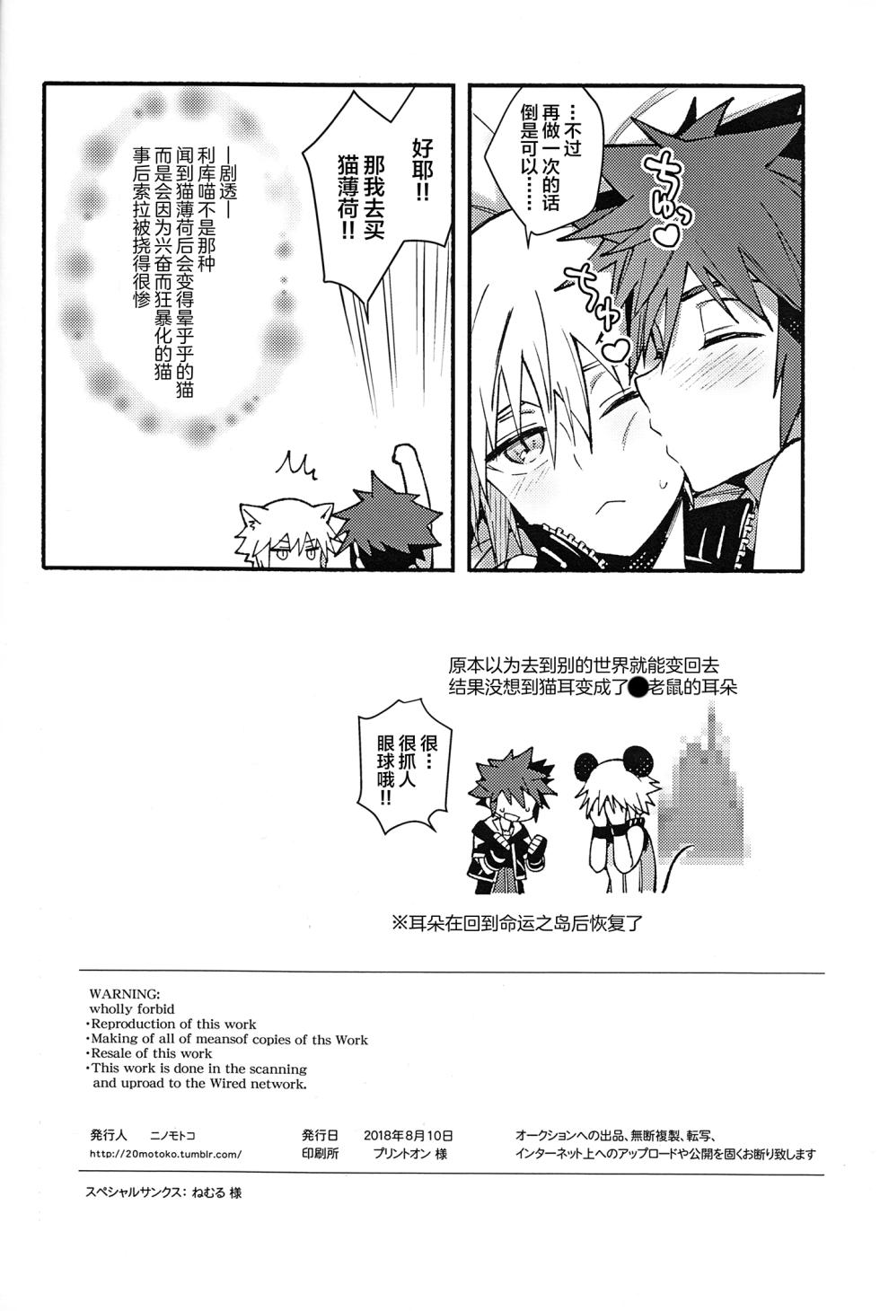 (C94) [esto (Ninomotoko)] Mahoni Kakerareta (Kingdom Hearts) [Chinese] - Page 37