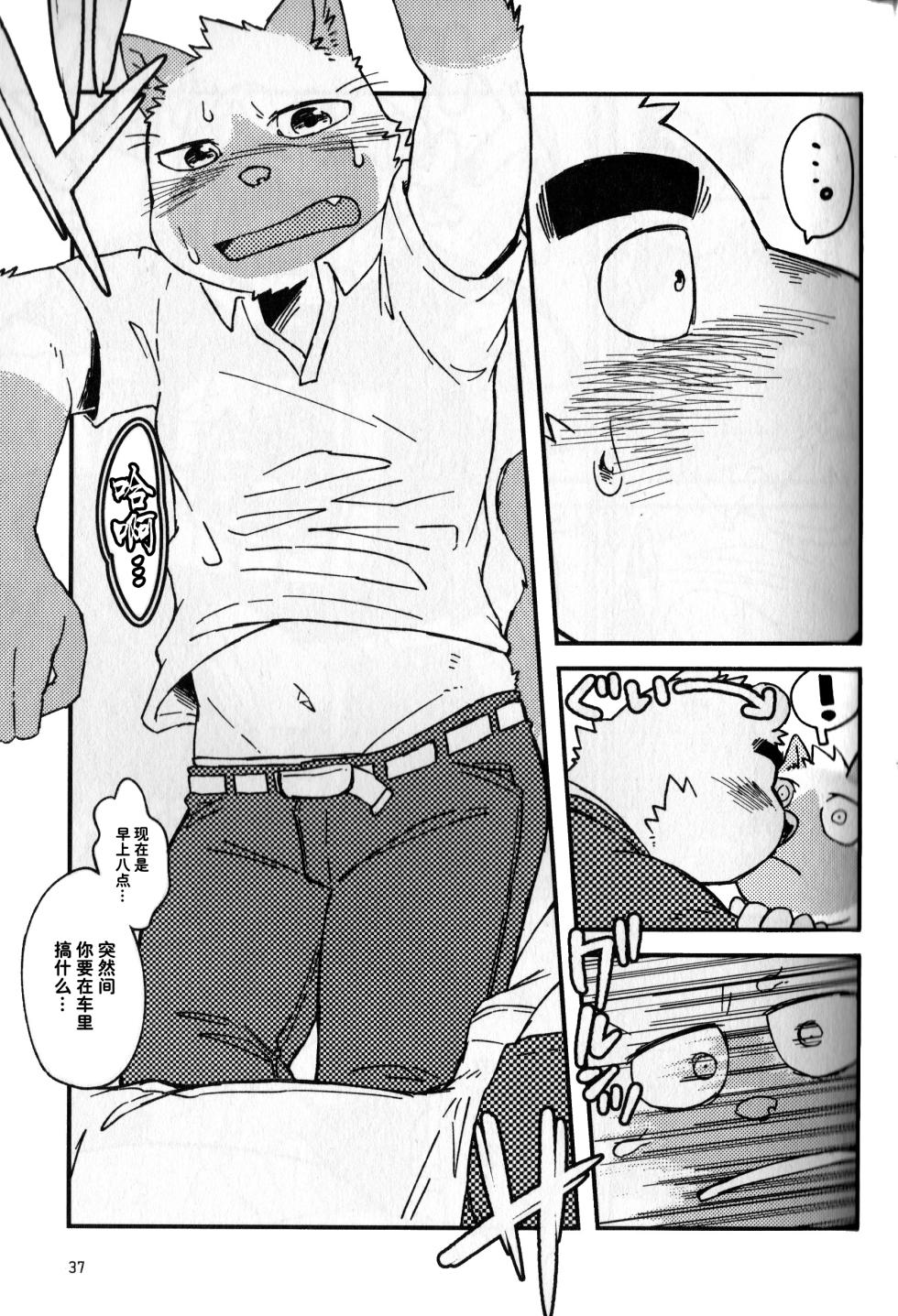 (Kemoket 7) [Nostalgic Syndrome (doromiez)] 伤感的漩涡 [Chinese] - Page 38