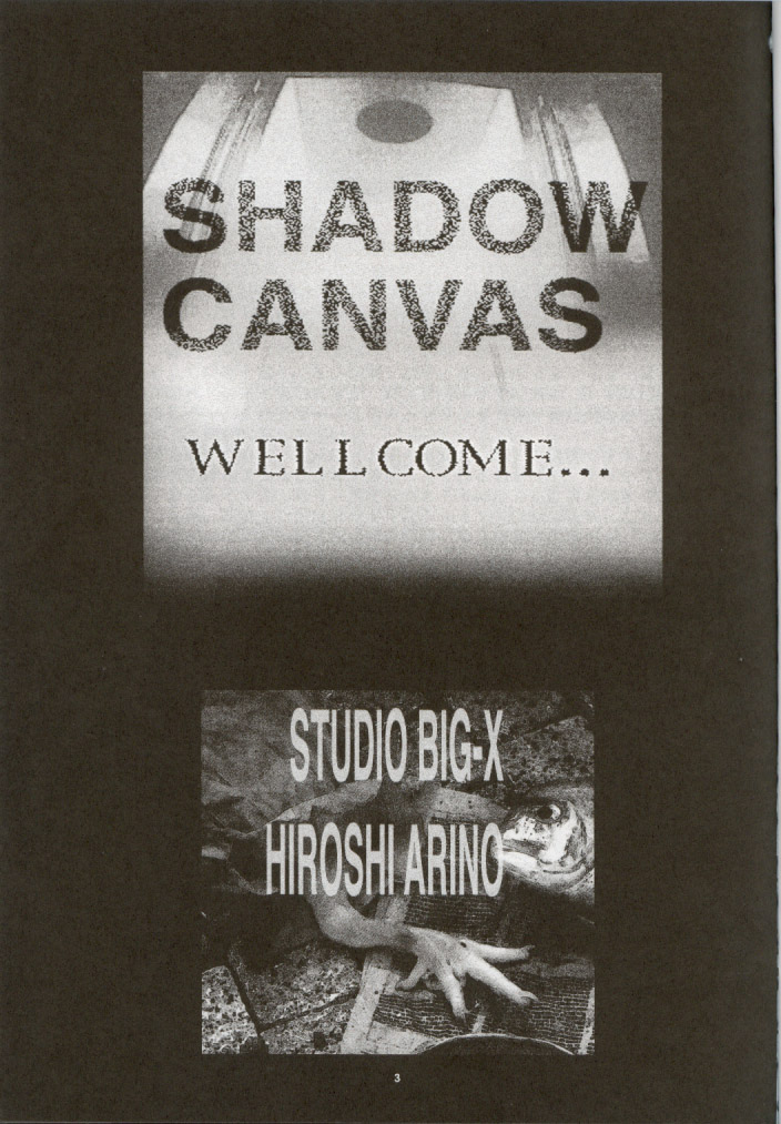 (C62) [Studio BIG-X (Arino Hiroshi)] SHADOW CANVAS 13 (Sister Princess) - Page 2