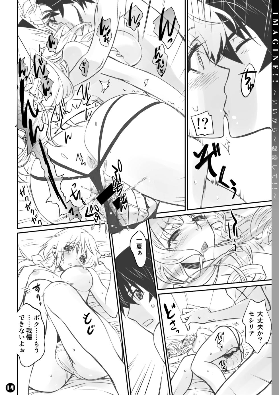 [Bloody Okojo (Mojyako, Caviar)] IMAGINE!! ~Iikara Souzou Shite!!~ (IS <Infinite Stratos>) [Digital] - Page 14