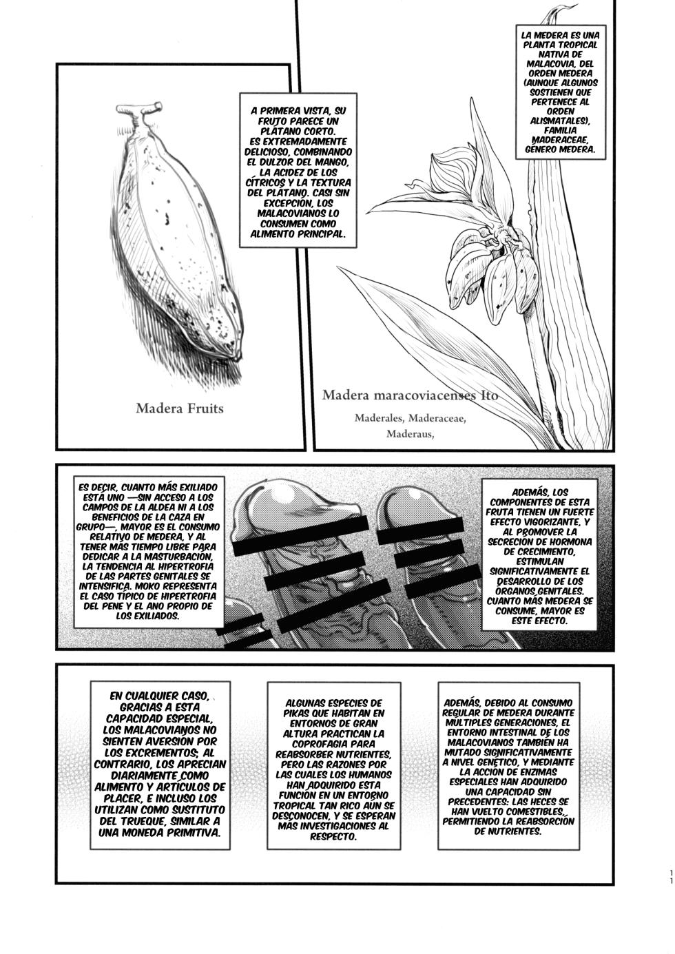 [Kakumei Seifu Kouhoushitsu (Various)] Dankon no Ethnography -Malakovia no Sei to Haisetsu- [Spanish] (OyeZi7w7) - Page 10