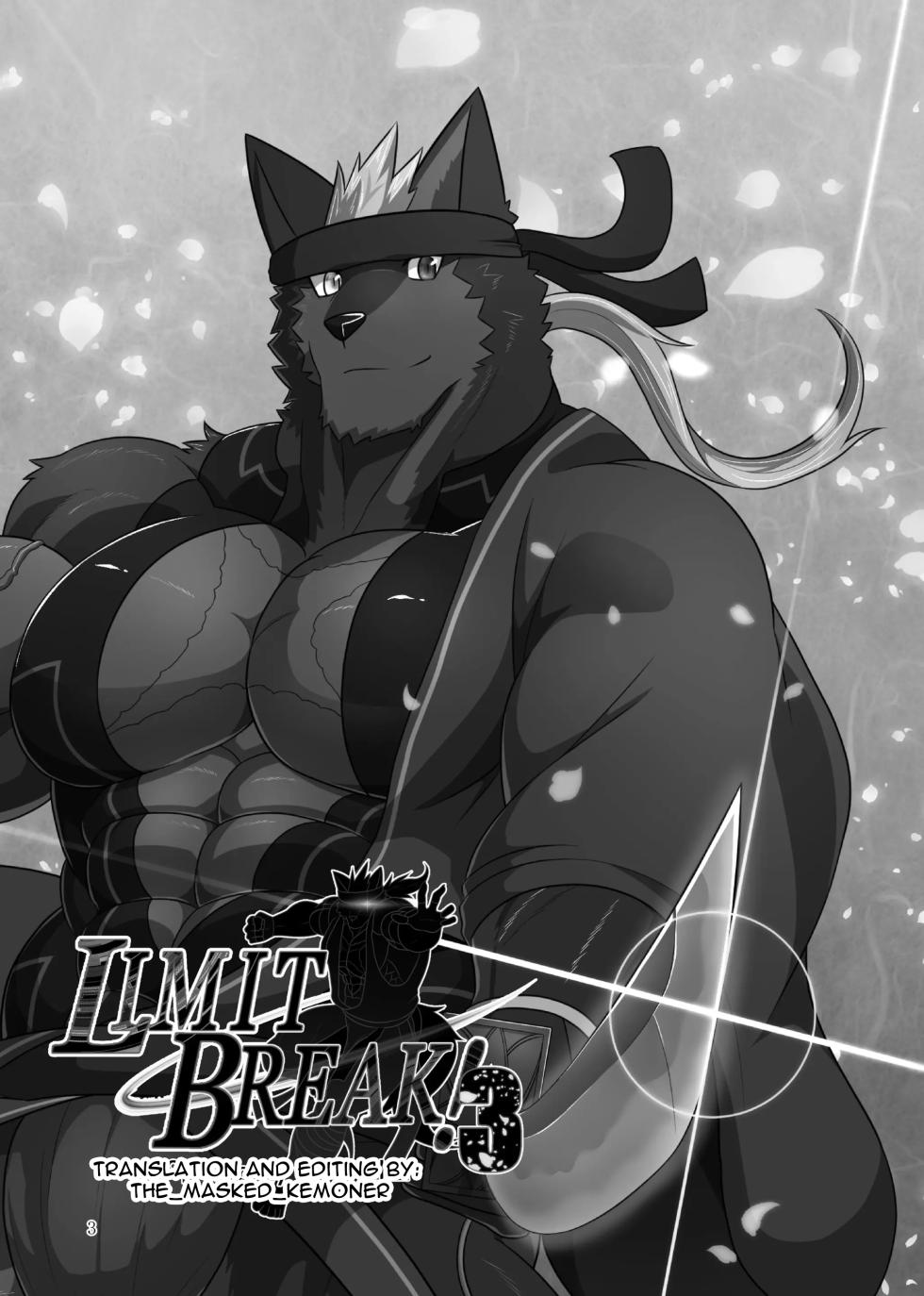 [CHI] SOJIN ADVANCE (Keijii) - LIMIT BREAK! 3 - Page 2