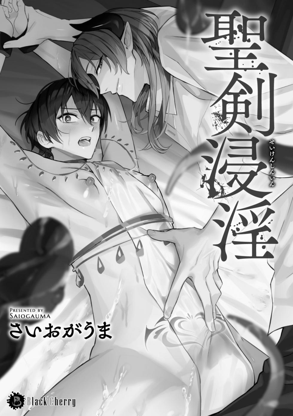 [さいおがうま] 聖剣浸淫 - Page 3