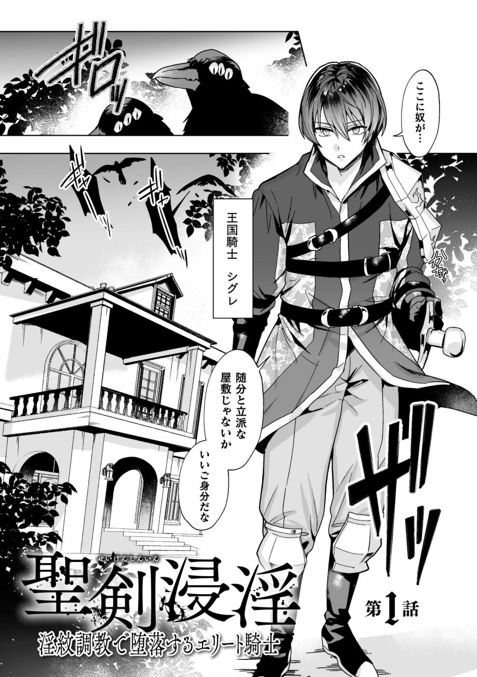 [さいおがうま] 聖剣浸淫 - Page 5