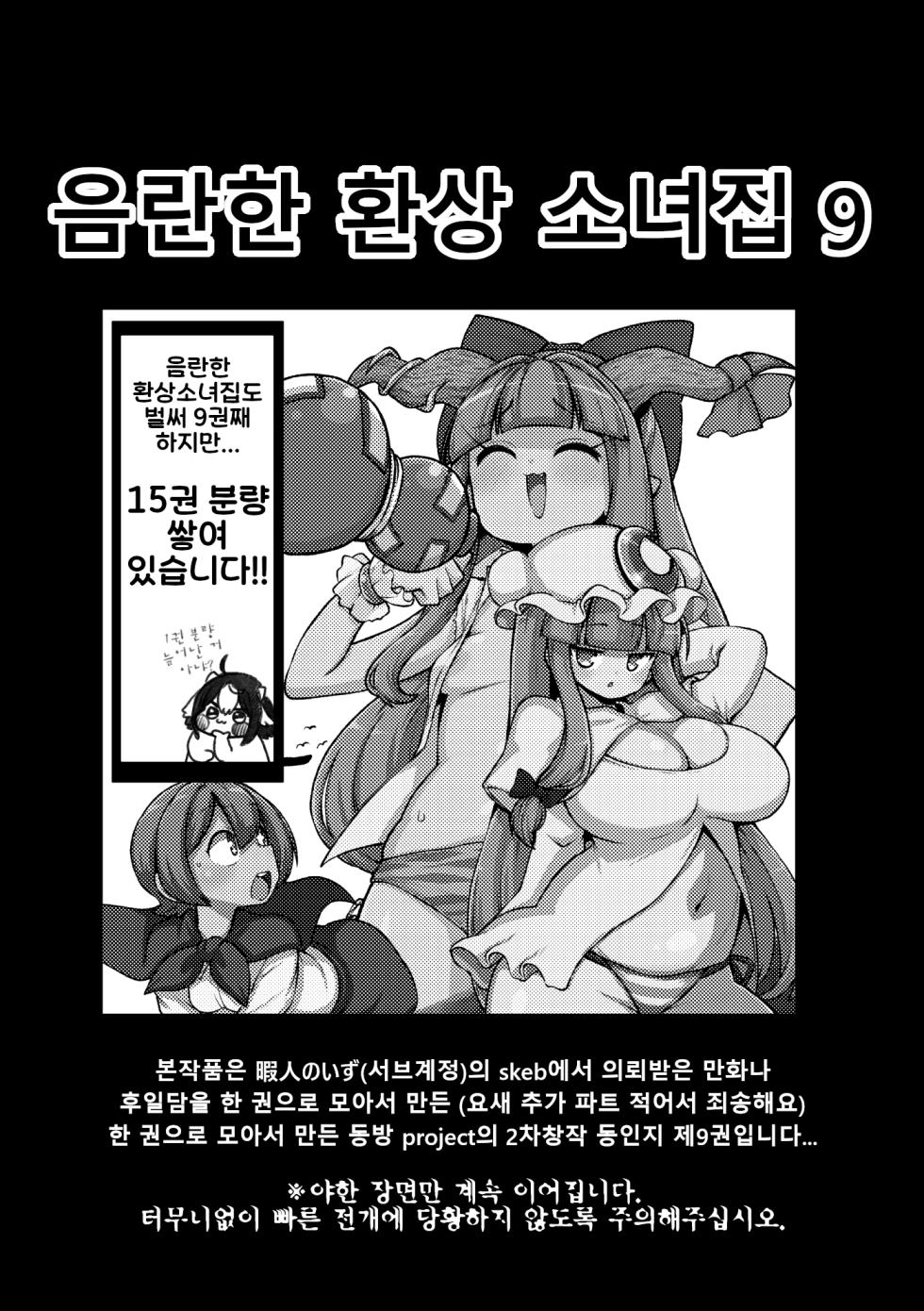 [Shoujo Rakugakichuu (Himajin no Izu)] skeb na Gensou Shoujo Shuu 9 | 음란한 환상 소녀집 9 (Touhou Project)  [Korean] [Digital] - Page 3
