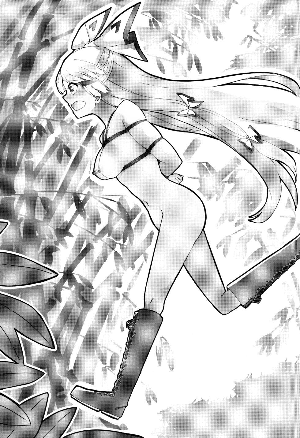 (Kouroumu 15) [Simerike (Datam?)] Chikurin Running | Пробежка по бамбуковому лесу (Touhou Project) - Page 2