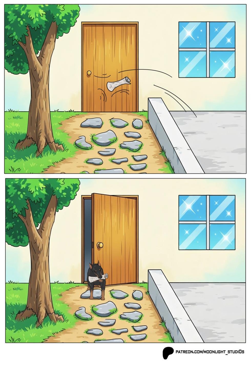 Dog of the house - Page 2