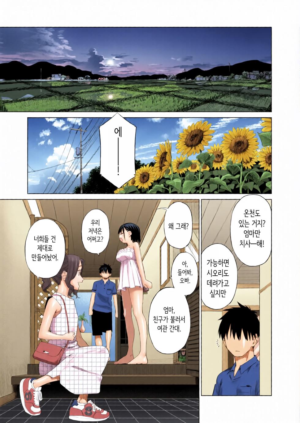 [Parasute (Mizu no Uro)] 시골 여동생과 무지의 유혹 [Korean] [AI 채색] - Page 30