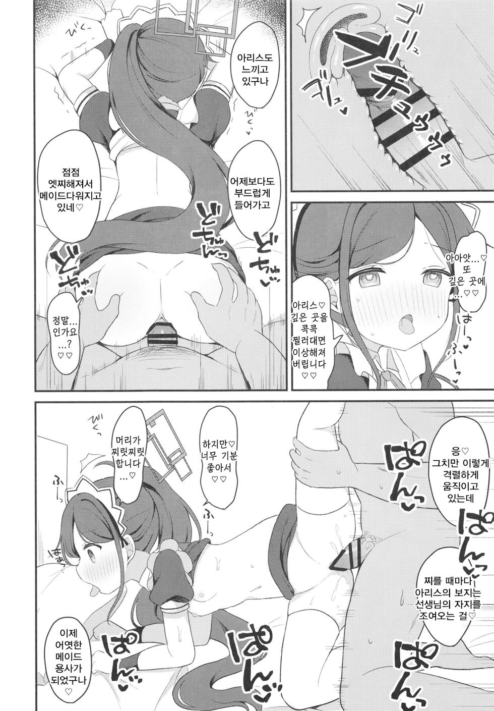 메이드 아리스의 레벨업 대작전 (メイドアリスのレベルアップ大作戦)-ちゃつね, 아리스 동인지 - Page 20