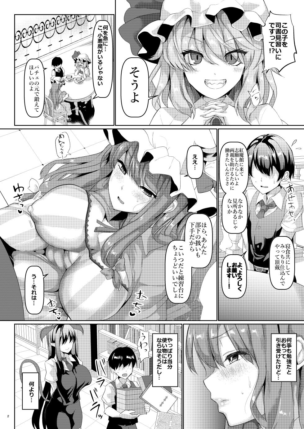 [Chinchintei (chin)] Sewayaki Nakadashi Mahoutsukai (Touhou Project) [Digital] - Page 3