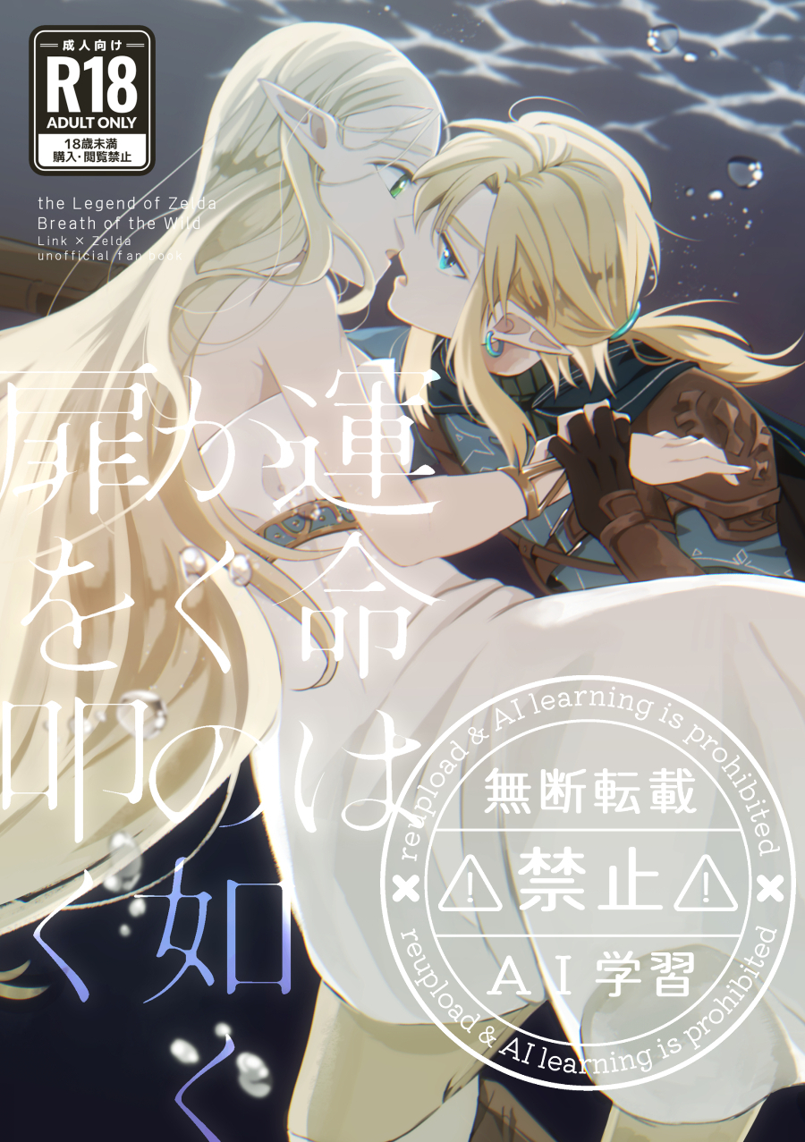 [Horete Mauu Yarou (Mauu)] Unmei wa Kaku no Gotoku Tobira o Tataku (The Legend of Zelda: Tears of the Kingdom) [Digital] - Page 1