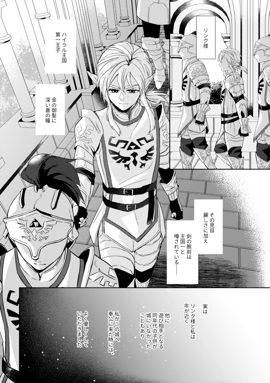 [Horete Mauu Yarou (Mauu)] Unmei wa Kaku no Gotoku Tobira o Tataku (The Legend of Zelda: Tears of the Kingdom) [Digital] - Page 9
