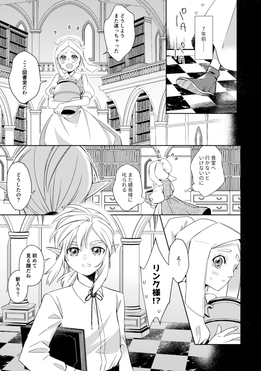 [Horete Mauu Yarou (Mauu)] Unmei wa Kaku no Gotoku Tobira o Tataku (The Legend of Zelda: Tears of the Kingdom) [Digital] - Page 10