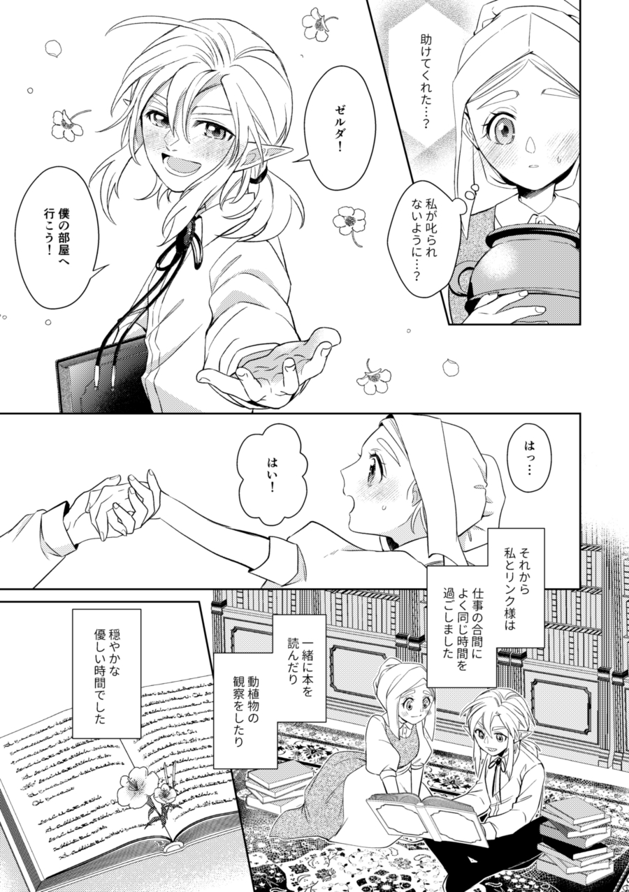 [Horete Mauu Yarou (Mauu)] Unmei wa Kaku no Gotoku Tobira o Tataku (The Legend of Zelda: Tears of the Kingdom) [Digital] - Page 12
