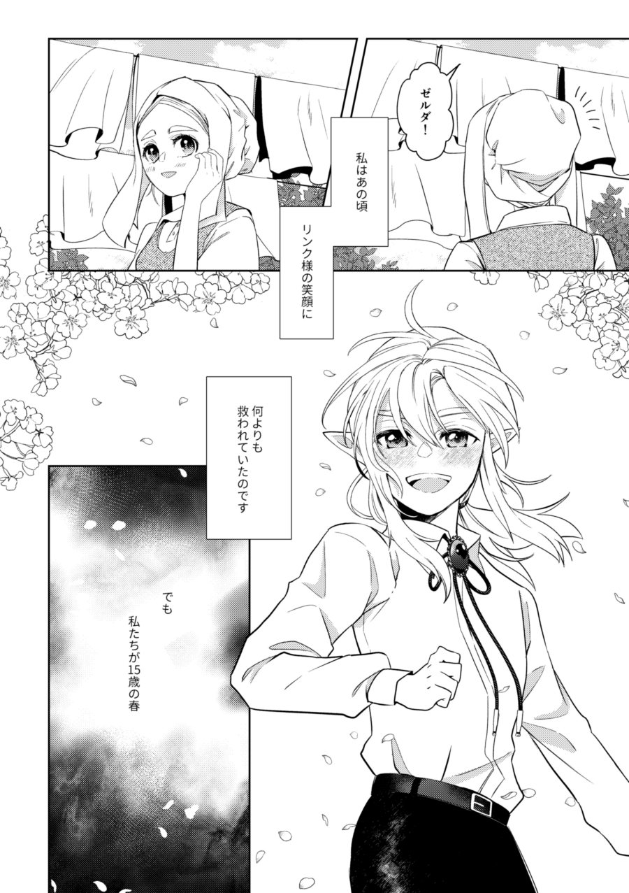 [Horete Mauu Yarou (Mauu)] Unmei wa Kaku no Gotoku Tobira o Tataku (The Legend of Zelda: Tears of the Kingdom) [Digital] - Page 13