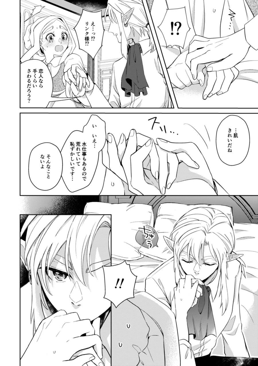 [Horete Mauu Yarou (Mauu)] Unmei wa Kaku no Gotoku Tobira o Tataku (The Legend of Zelda: Tears of the Kingdom) [Digital] - Page 27