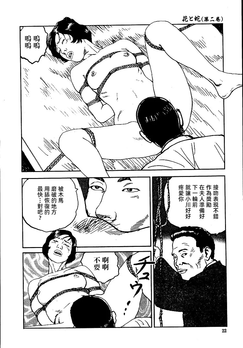 [長田要x団鬼六]花と蛇 第二集[大祭司汉化] - Page 28