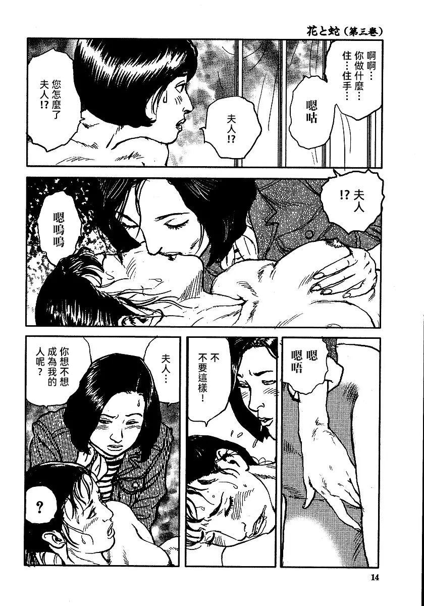 [長田要x団鬼六]花と蛇 第三集[大祭司汉化] - Page 20
